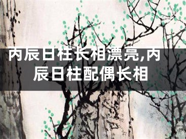 丙辰日柱长相漂亮,丙辰日柱配偶长相