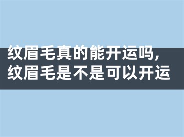 纹眉毛真的能开运吗,纹眉毛是不是可以开运