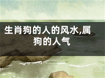 生肖狗的人的风水,属狗的人气