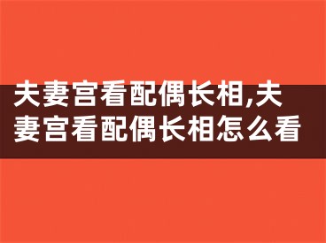 夫妻宫看配偶长相,夫妻宫看配偶长相怎么看