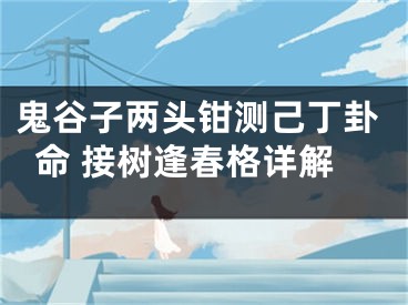 鬼谷子两头钳测己丁卦命 接树逢春格详解