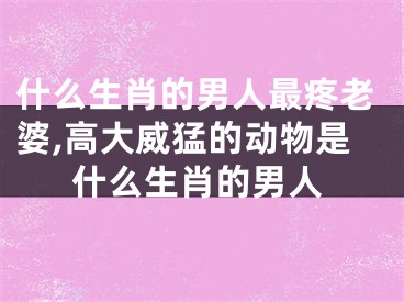 什么生肖的男人最疼老婆,高大威猛的动物是什么生肖的男人