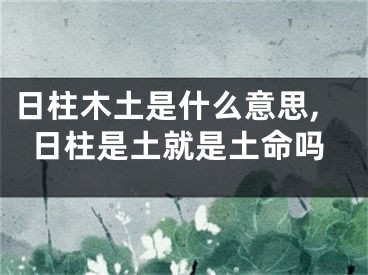 日柱木土是什么意思,日柱是土就是土命吗