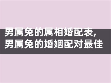 男属兔的属相婚配表,男属兔的婚姻配对最佳