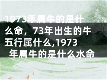 1973年属牛的是什么命，73年出生的牛五行属什么,1973年属牛的是什么水命