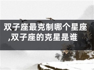 双子座最克制哪个星座,双子座的克星是谁