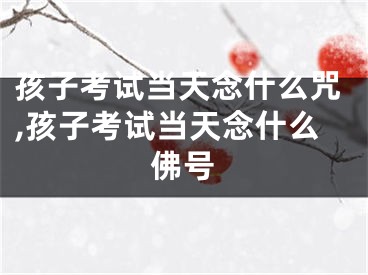 孩子考试当天念什么咒,孩子考试当天念什么佛号
