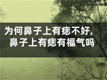 为何鼻子上有痣不好,鼻子上有痣有福气吗