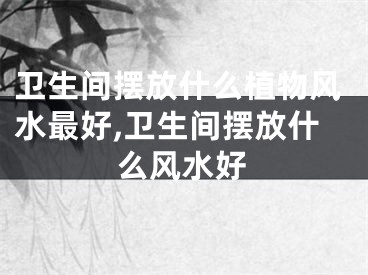 卫生间摆放什么植物风水最好,卫生间摆放什么风水好