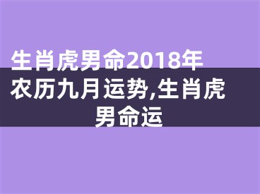 生肖虎男命2018年农历九月运势,生肖虎男命运