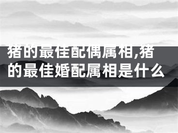 猪的最佳配偶属相,猪的最佳婚配属相是什么