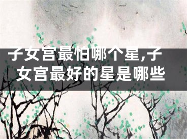 子女宫最怕哪个星,子女宫最好的星是哪些