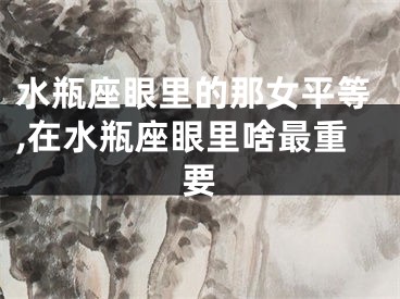 水瓶座眼里的那女平等,在水瓶座眼里啥最重要