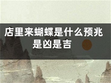 店里来蝴蝶是什么预兆 是凶是吉