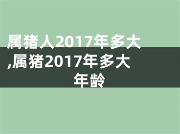 属猪人2017年多大,属猪2017年多大年龄