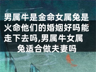 男属牛是金命女属兔是火命他们的婚姻好吗能走下去吗,男属牛女属兔适合做夫妻吗
