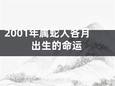 2001年属蛇人各月出生的命运