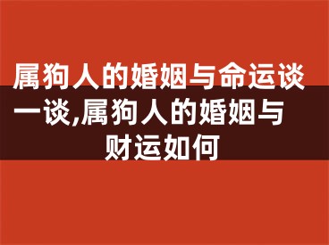 属狗人的婚姻与命运谈一谈,属狗人的婚姻与财运如何
