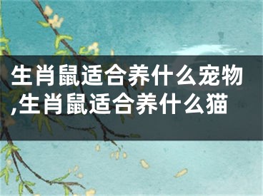 生肖鼠适合养什么宠物,生肖鼠适合养什么猫