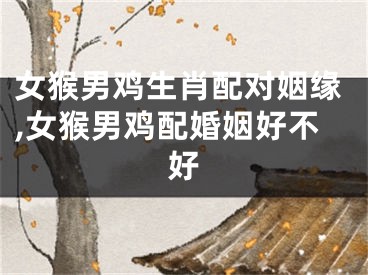女猴男鸡生肖配对姻缘,女猴男鸡配婚姻好不好