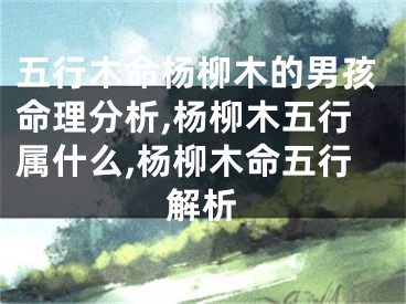 五行木命杨柳木的男孩命理分析,杨柳木五行属什么,杨柳木命五行解析