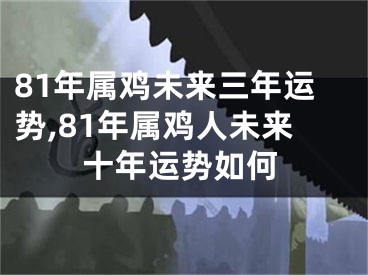 81年属鸡未来三年运势,81年属鸡人未来十年运势如何