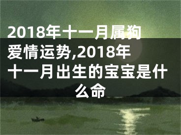 2018年十一月属狗爱情运势,2018年十一月出生的宝宝是什么命