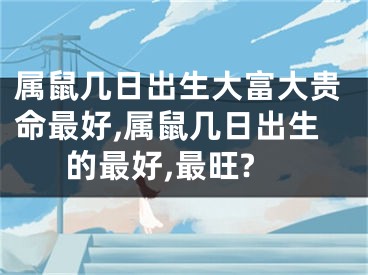 属鼠几日出生大富大贵命最好,属鼠几日出生的最好,最旺?