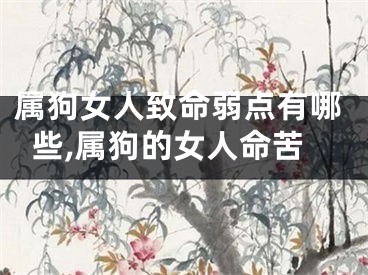 属狗女人致命弱点有哪些,属狗的女人命苦