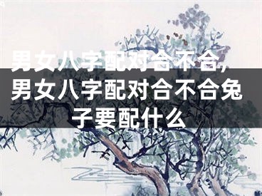 男女八字配对合不合,男女八字配对合不合兔子要配什么