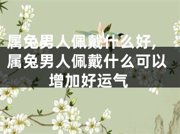 属兔男人佩戴什么好,属兔男人佩戴什么可以增加好运气