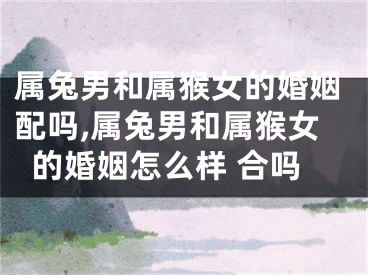 属兔男和属猴女的婚姻配吗,属兔男和属猴女的婚姻怎么样 合吗