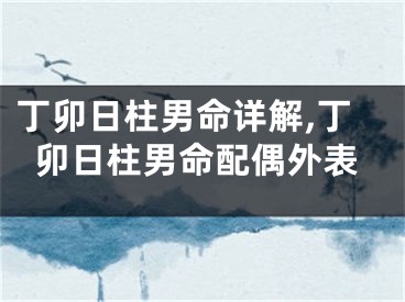 丁卯日柱男命详解,丁卯日柱男命配偶外表