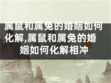 属鼠和属兔的婚姻如何化解,属鼠和属兔的婚姻如何化解相冲