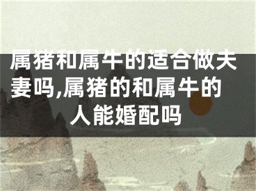 属猪和属牛的适合做夫妻吗,属猪的和属牛的人能婚配吗