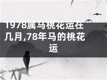 1978属马桃花运在几月,78年马的桃花运