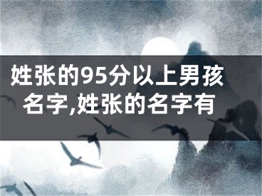姓张的95分以上男孩名字,姓张的名字有