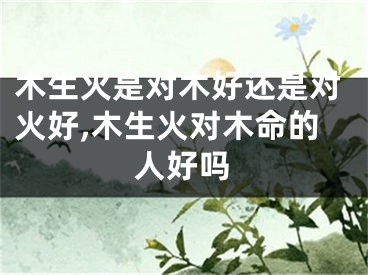 木生火是对木好还是对火好,木生火对木命的人好吗