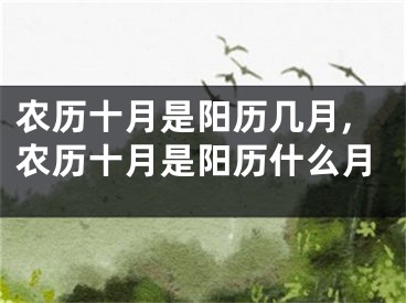 农历十月是阳历几月,农历十月是阳历什么月