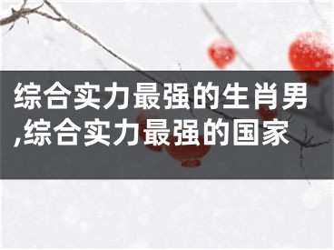 综合实力最强的生肖男,综合实力最强的国家