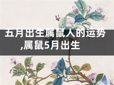 五月出生属鼠人的运势,属鼠5月出生