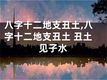 八字十二地支丑土,八字十二地支丑土 丑土见子水