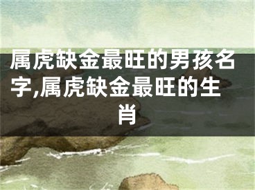 属虎缺金最旺的男孩名字,属虎缺金最旺的生肖