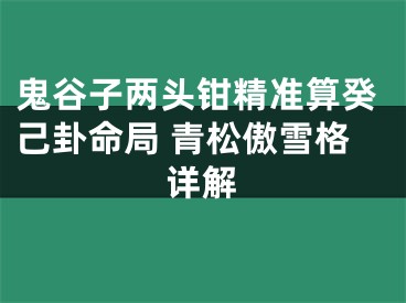 鬼谷子两头钳精准算癸己卦命局 青松傲雪格详解