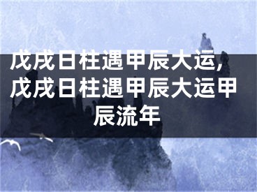 戊戌日柱遇甲辰大运,戊戌日柱遇甲辰大运甲辰流年