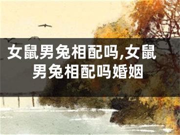 女鼠男兔相配吗,女鼠男兔相配吗婚姻
