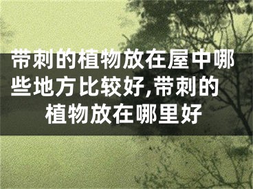 带刺的植物放在屋中哪些地方比较好,带刺的植物放在哪里好
