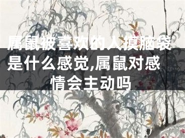 属鼠被喜欢的人摸脑袋是什么感觉,属鼠对感情会主动吗
