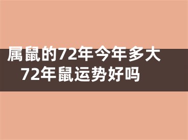 属鼠的72年今年多大 72年鼠运势好吗