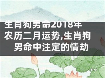 生肖狗男命2018年农历二月运势,生肖狗男命中注定的情劫